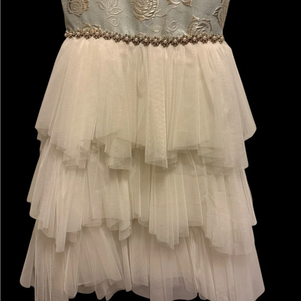 American princess Elegant Layered Dress with Floral Embroidery for girl size 10